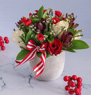 Send Love with Real Flowers! Red and Cream Roses + Mixed Flowers in a Cement Pot
